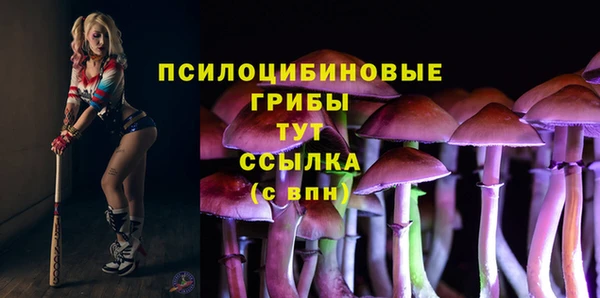 a pvp Кулебаки