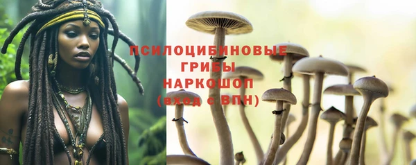 хмурый Кукмор