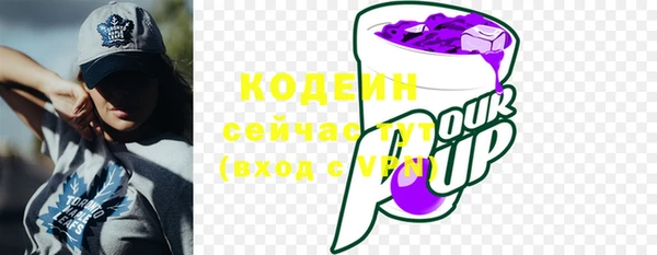 хмурый Кукмор