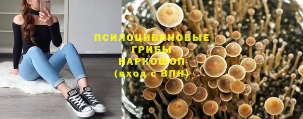 a pvp Кулебаки