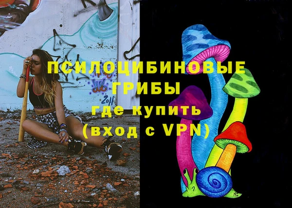 a pvp Кулебаки