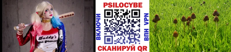 Псилоцибиновые грибы MAGIC MUSHROOMS Новодвинск