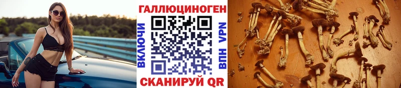 Галлюциногенные грибы ЛСД  MEGA маркетплейс  Новодвинск 