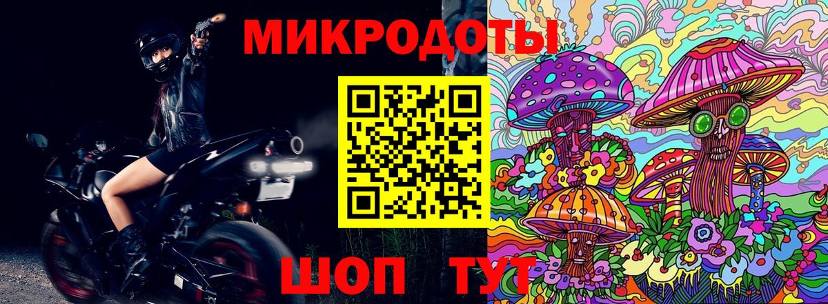 Новодвинск  Псилоцибиновые грибы прущие грибы  Вход с VPN 