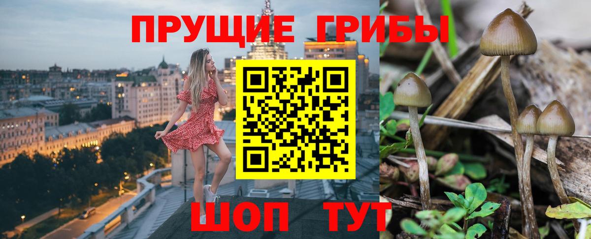 Псилоцибиновые грибы Magic Shrooms Новодвинск